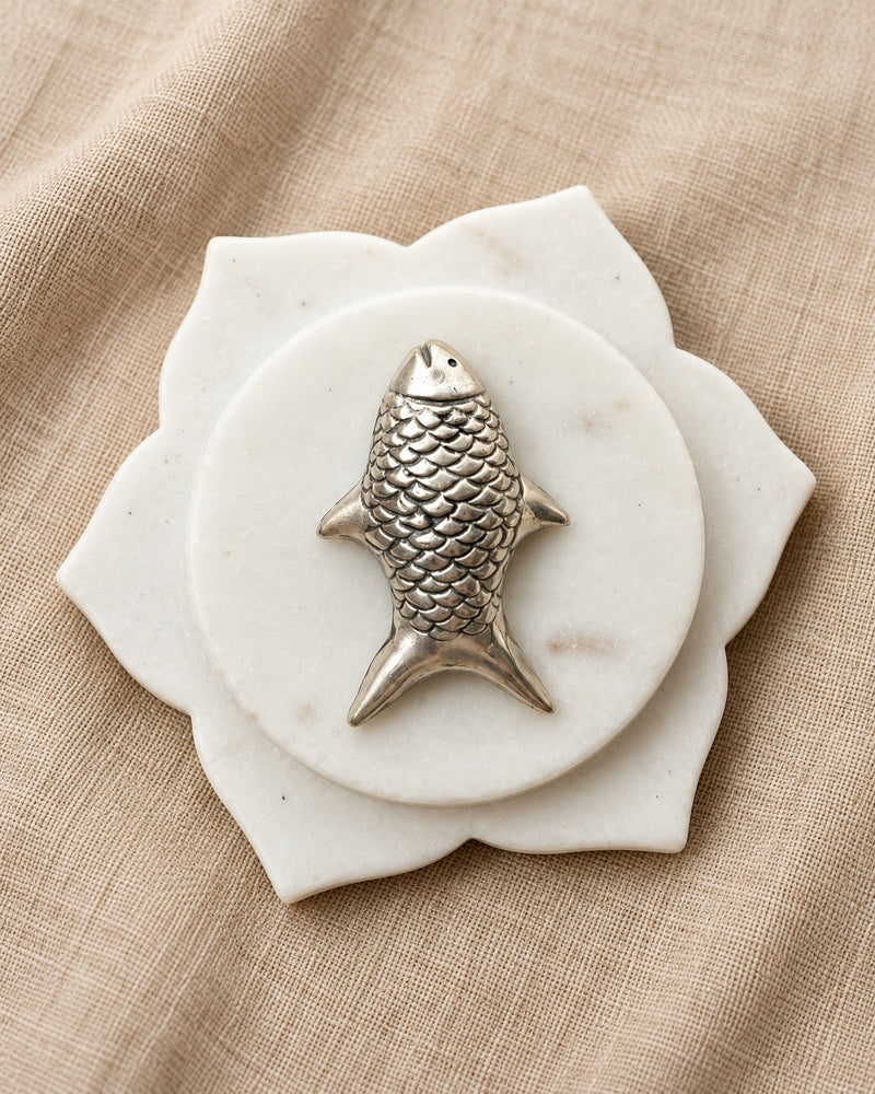 Silver Fish