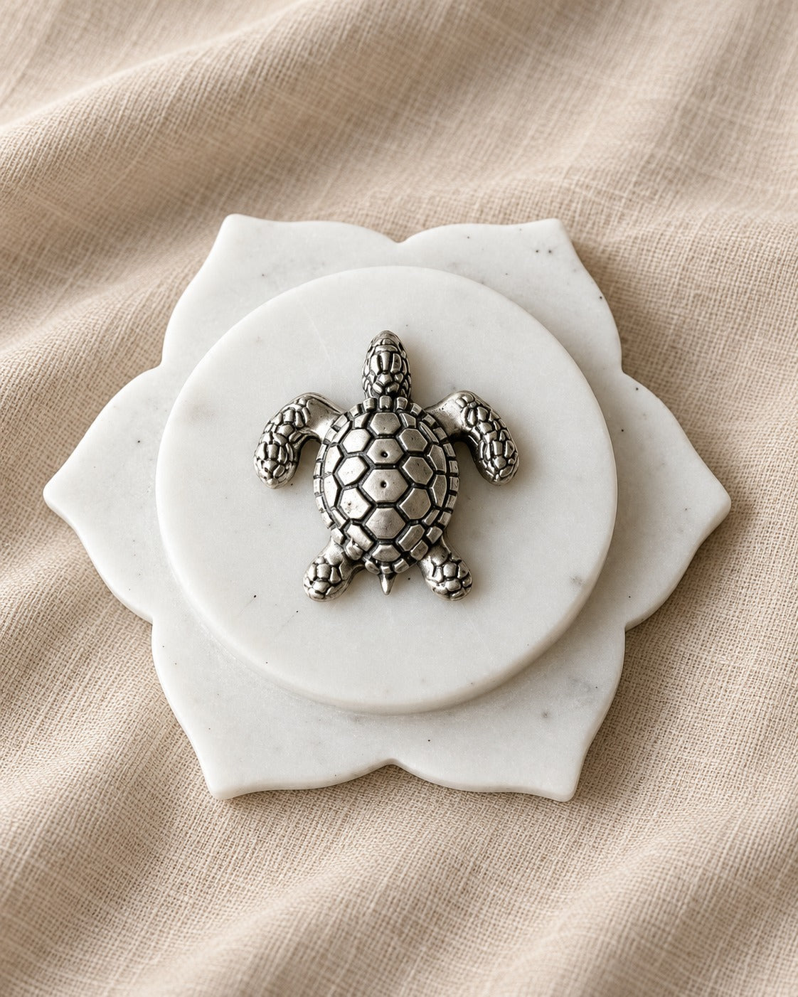 Silver Tortoise
